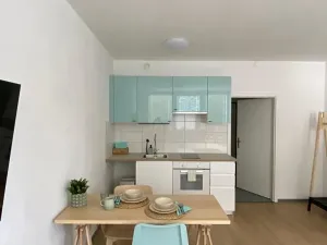 Pronájem bytu 1+kk, Třeboň, Nádražní, 35 m2