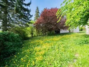 Prodej rodinného domu, Seletice, 90 m2