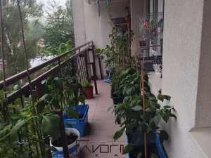 Pronájem bytu 2+1, Ostrava, Krasnoarmejců, 58 m2
