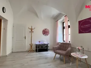 Pronájem obchodního prostoru, Jihlava, Smetanova, 31 m2