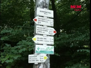 Prodej pozemku pro bydlení, Česká Třebová, Bezděkov, 4130 m2