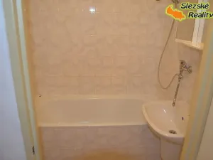 Pronájem bytu 1+1, Ostrava, Mjr. Nováka, 36 m2
