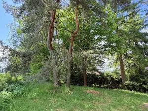 Prodej chaty, Borová, 53 m2
