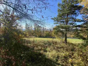Prodej pole, Železný Brod - Střevelná, 2828 m2