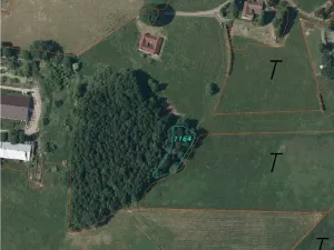 Prodej pozemku, Hranice, 1061 m2