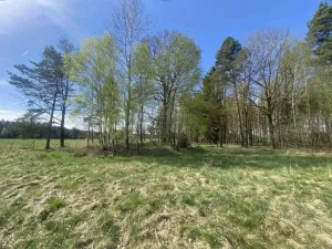 Prodej pozemku, Hranice, 1061 m2