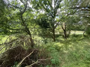 Prodej louky, Nové Hrady - Štiptoň, 4246 m2