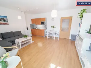 Prodej bytu 1+kk, Brno, Božetěchova, 34 m2