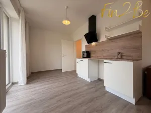 Pronájem bytu 1+kk, Český Brod, Langova, 38 m2