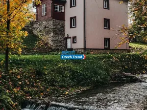 Pronájem bytu 4+1, Zlaté Hory, 170 m2