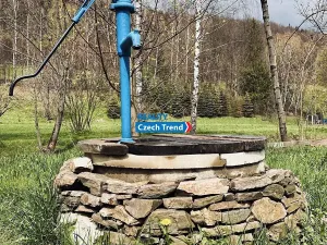 Pronájem rodinného domu, Zlaté Hory, 170 m2