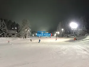 Pronájem chalupy, Zlaté Hory, 170 m2