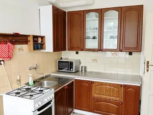 Pronájem pokoje, Olomouc, Krakovská, 100 m2