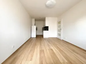 Pronájem bytu 2+kk, Kladno, Polská, 41 m2