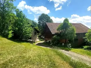 Prodej zemědělské usedlosti, Kunvald, 160 m2