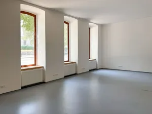 Pronájem obchodního prostoru, Brno, Štefánikova, 110 m2