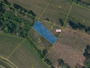 Dražba lesa, Velké Meziříčí, 1164 m2