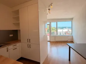 Pronájem bytu 1+kk, Brno, Vídeňská, 31 m2