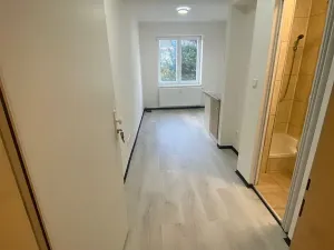 Pronájem bytu 1+kk, Praha - Hlubočepy, Na Zlíchově, 18 m2