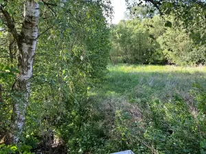 Prodej louky, Oselce, 9182 m2