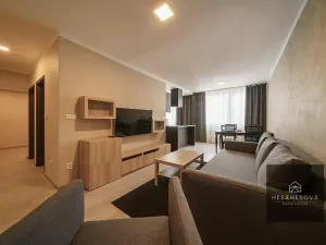 Prodej bytu 5+kk, Praha - Žižkov, Hartigova, 124 m2
