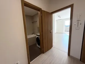 Pronájem bytu 2+kk, Brno, Letní, 56 m2