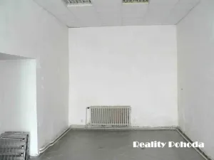 Pronájem obchodního prostoru, Prostějov, 200 m2