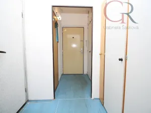 Prodej bytu 1+kk, Plzeň - Skvrňany, Lábkova, 37 m2