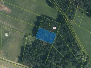 Dražba lesa, Zvěstov, 1092 m2