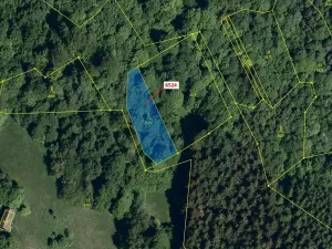 Dražba lesa, Vsetín, 939 m2