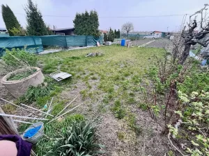 Prodej zahrady, Podivín, 396 m2