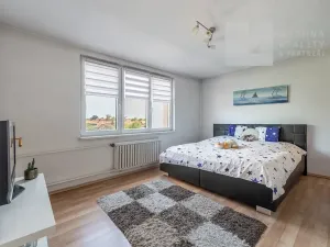 Prodej rodinného domu, Březí, Mládežnická, 230 m2