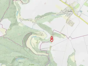 Prodej lesa, Plaveč, 1640 m2
