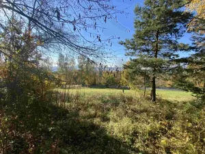 Dražba pozemku, Železný Brod, 2828 m2