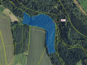Dražba lesa, Zářecká Lhota, 20728 m2