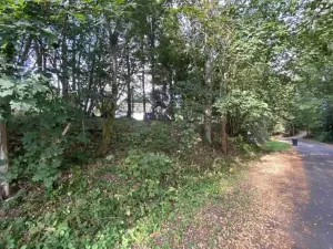 Dražba zahrady, Jindřichovice, 174 m2