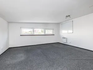 Prodej vícegeneračního domu, Mladá Boleslav, Viničná, 266 m2