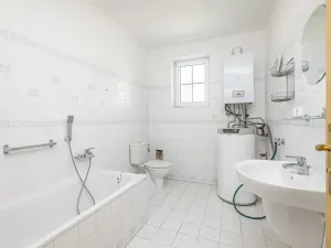 Prodej vícegeneračního domu, Mladá Boleslav, Viničná, 266 m2