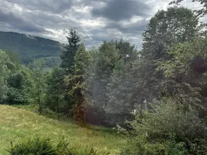 Prodej vícegeneračního domu, Morávka, 500 m2