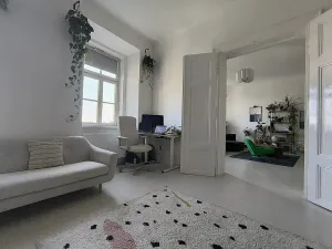 Prodej bytu 2+1, Brno, Pekařská, 68 m2