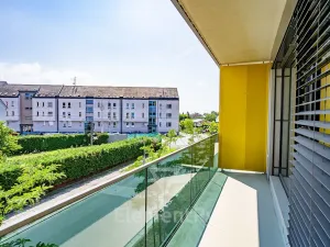 Pronájem bytu 2+kk, Hradec Králové, Pálenecká, 60 m2