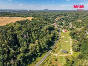 Prodej lesa, Tupadly, 5004 m2