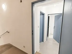 Prodej ubytování, Brno, Cejl, 60 m2
