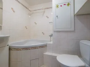 Prodej bytu 1+1, Brtnice, Haberská, 36 m2