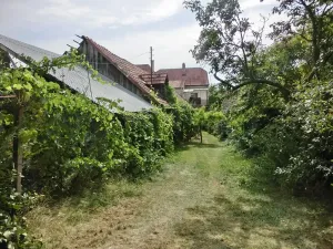 Prodej rodinného domu, Boršice, 250 m2