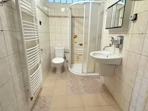 Prodej obchodního prostoru, Nová Včelnice, Nádražní ulice, 220 m2