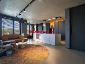 Prodej bytu 3+kk, Ostrava, F. X. Riepla, 137 m2