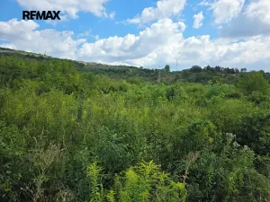 Pronájem bytu 2+kk, Brno, 49 m2