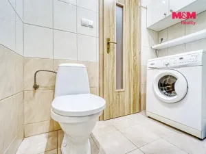 Pronájem bytu 1+1, Kozolupy, 32 m2