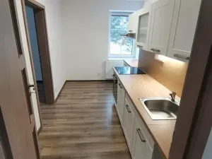 Pronájem bytu 2+1, Liberec, Na Srázu, 76 m2